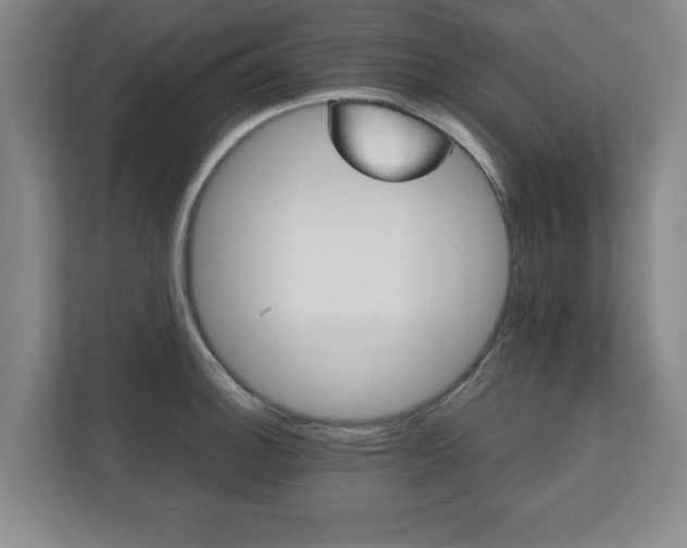 X0000111211140200907081256