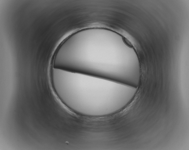 X0000111211142200907081256