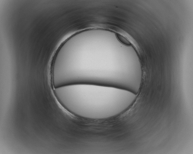 X0000111211143200907081256