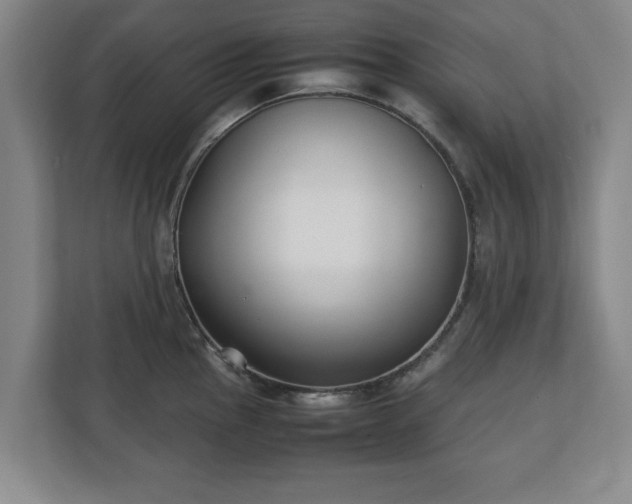 X0000111211145200907081257