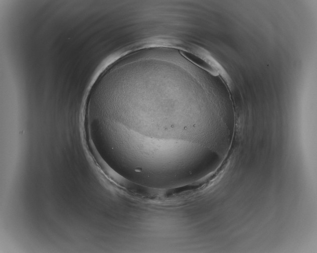 X0000111211146200907081257