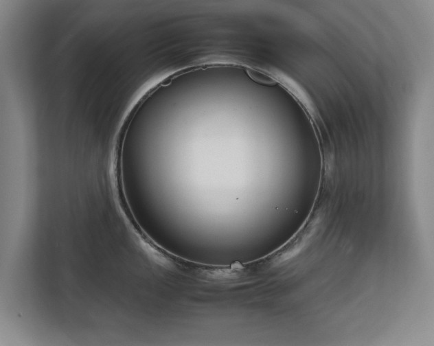 X0000111211149200907081257