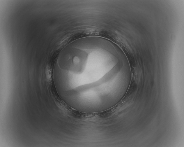 X0000111211154200907081256