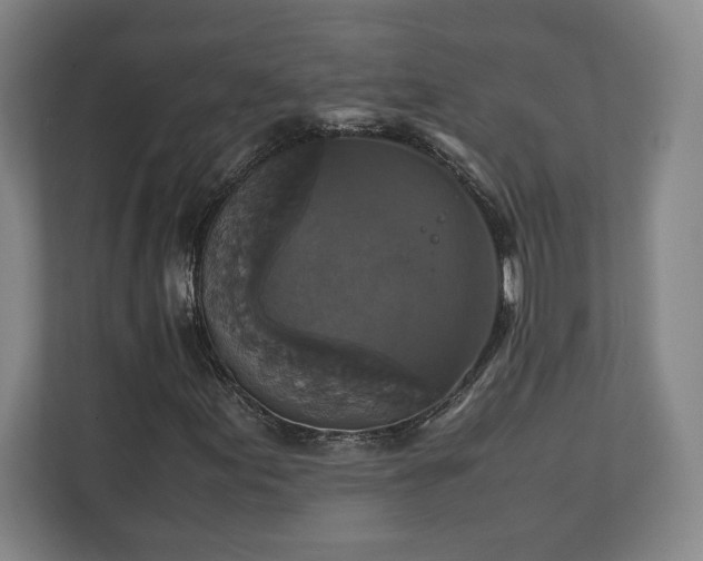 X0000111211155200907081256