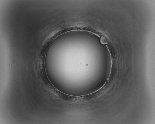 X0000111211159200907081256