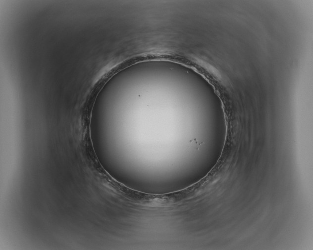 X0000111211160200907081256