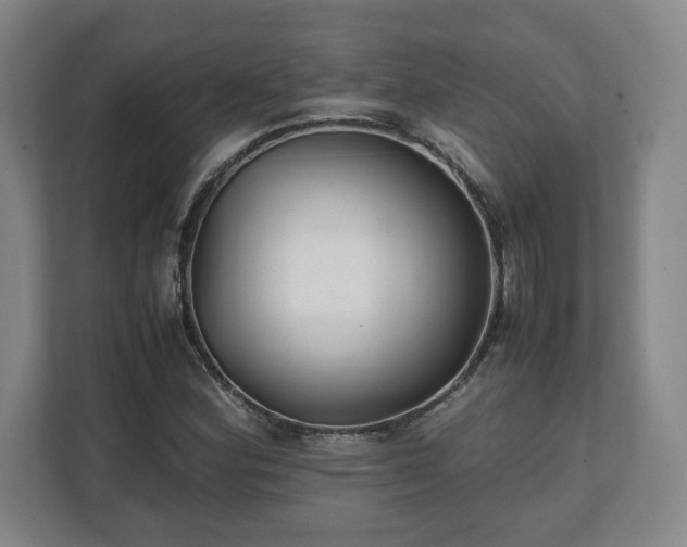 X0000111211164200907081256