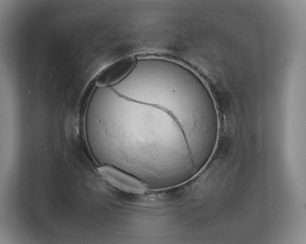 X0000111211165200907081256