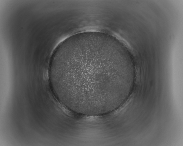 X0000111211166200907081256