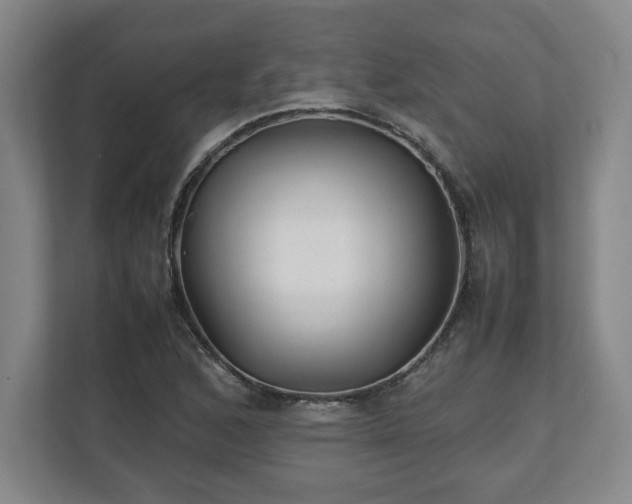 X0000111211168200907081256