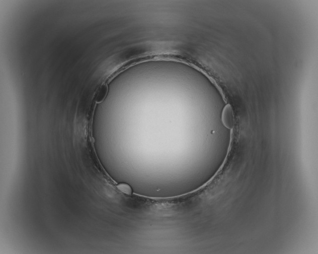 X0000111211169200907081256