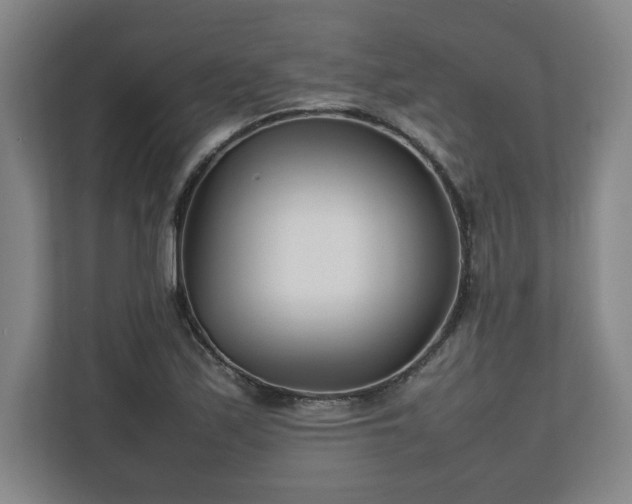 X0000111211171200907081256