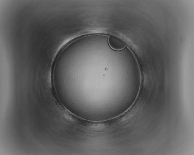 X0000111211174200907081256