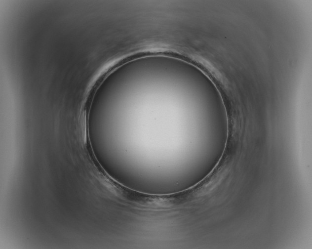 X0000111211175200907081256