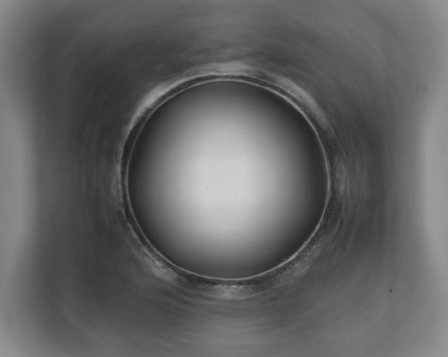 X0000111211176200907081256