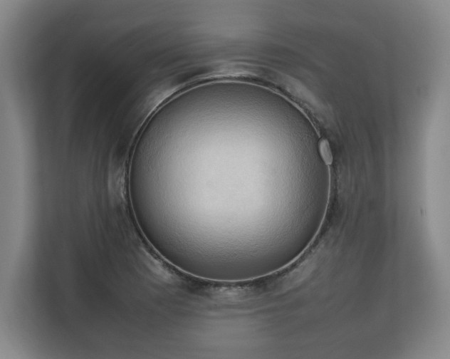 X0000111211177200907081256