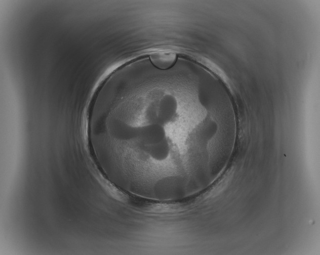 X0000111211179200907081256