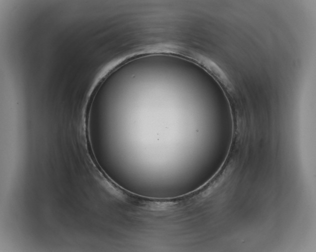 X0000111211184200907081256