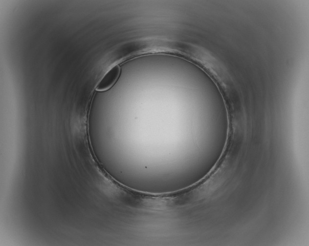 X0000111211185200907081256