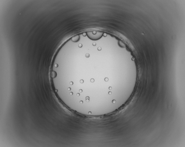 X0000111211186200907081256