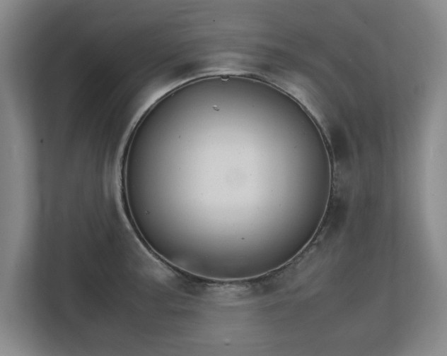 X0000111211187200907081256