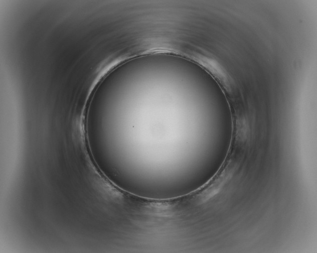 X0000111211190200907081255