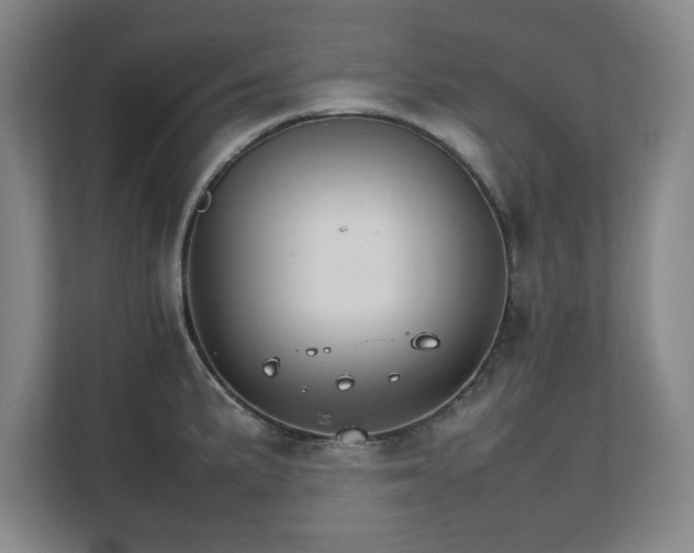 X0000111211191200907081255