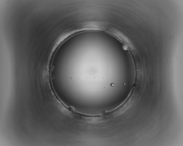 X0000111211192200907081255