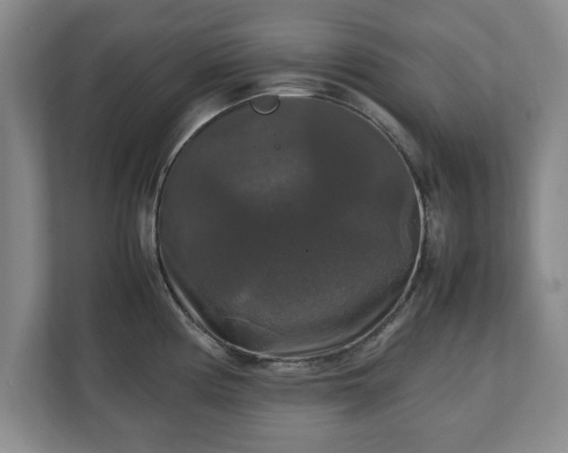 X0000111211194200907081255