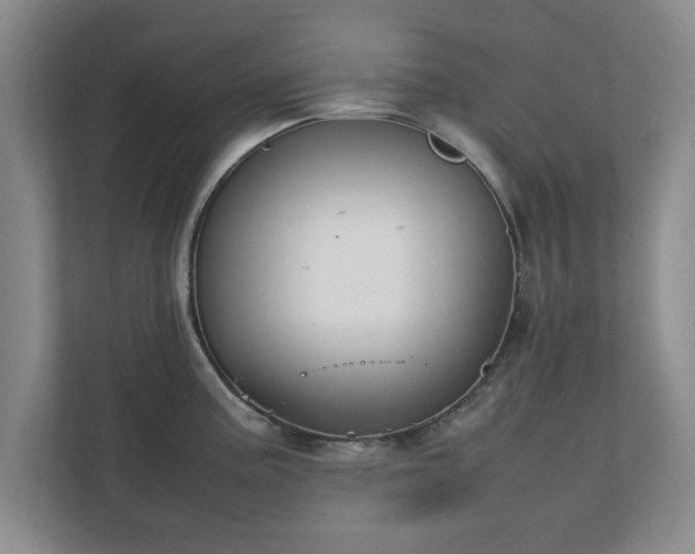 X0000111211195200907081255