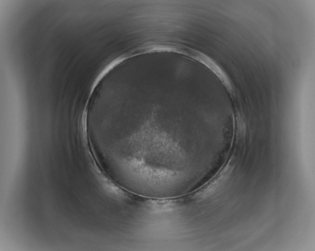 X0000111211198200907081255