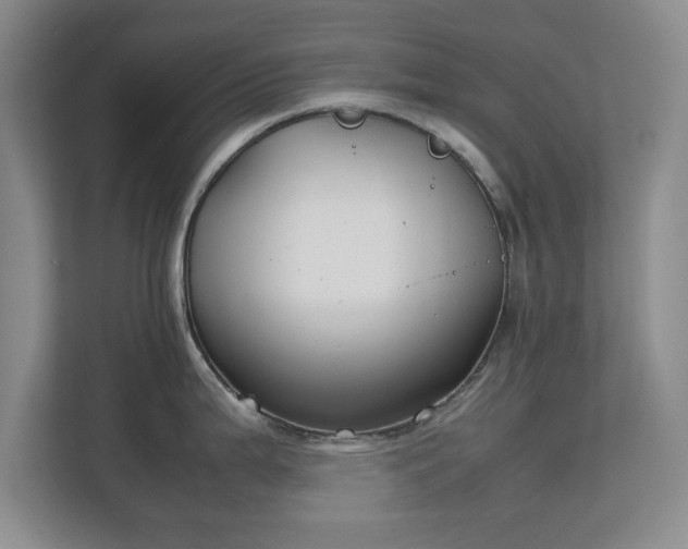 X0000111211199200907081255