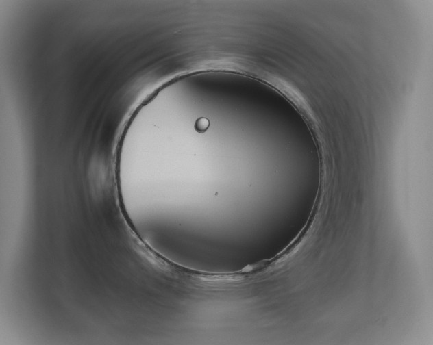 X0000111211200200907081255