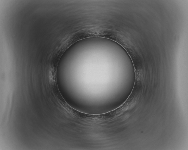 X0000111211202200907081255