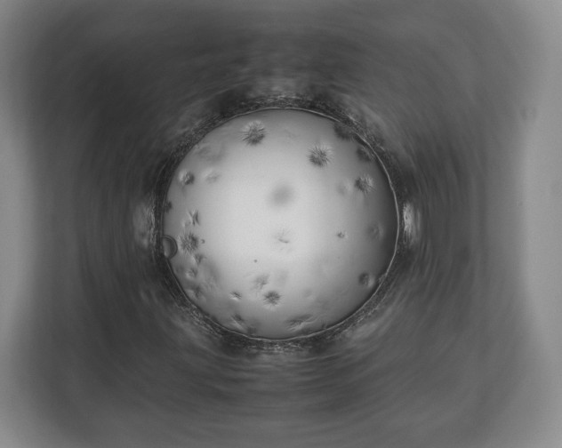 X0000111211203200907081255