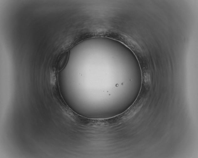 X0000111211204200907081255