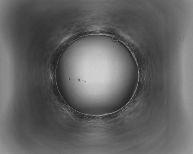 X0000111211206200907081255