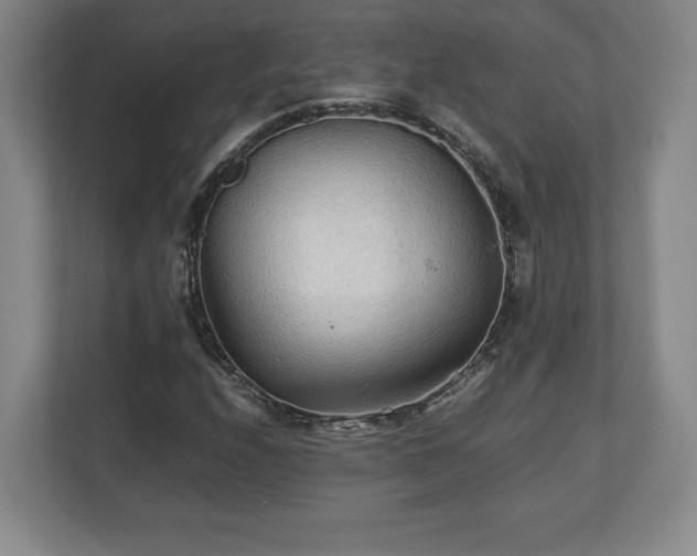 X0000111211208200907081255