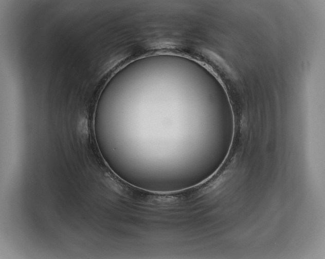 X0000111211209200907081255