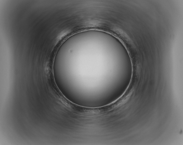 X0000111211210200907081255