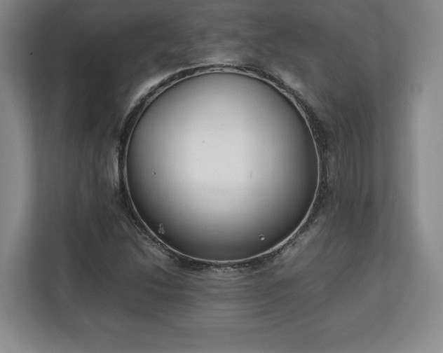 X0000111211214200907081255