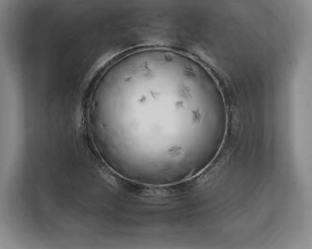 X0000111211215200907081255