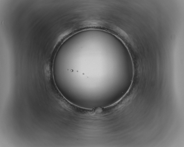 X0000111211218200907081255