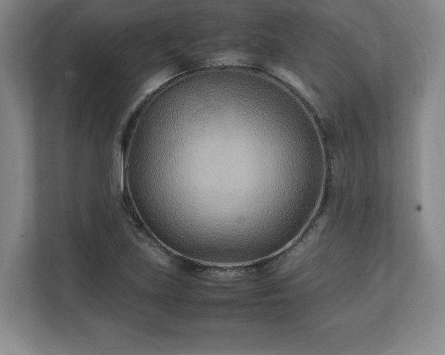 X0000111211219200907081255