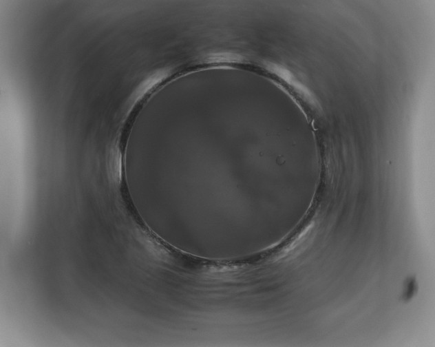 X0000111211221200907081255