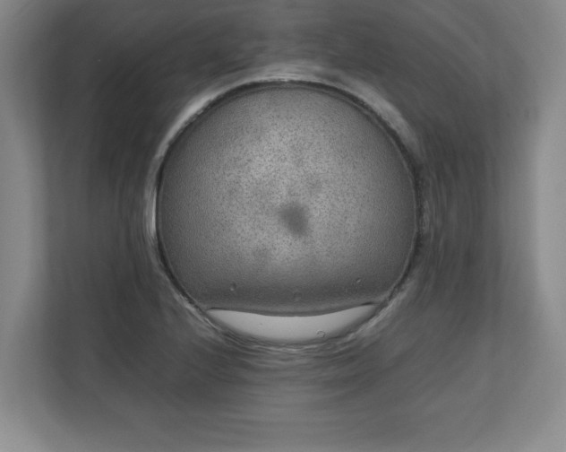 X0000111211224200907081255