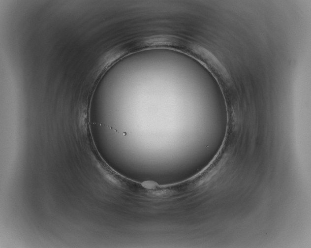 X0000111211225200907081255