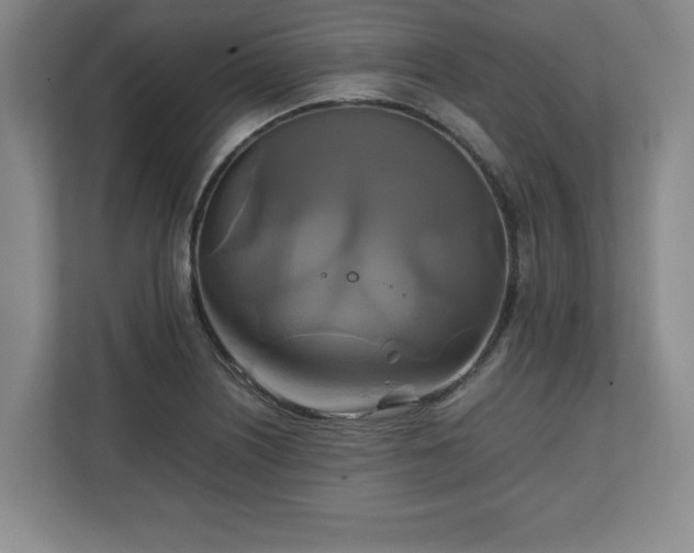 X0000111211226200907081255