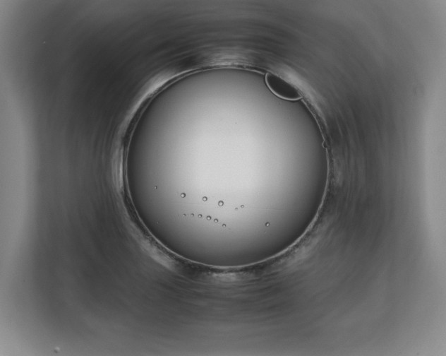 X0000111211227200907081255