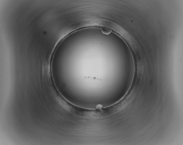 X0000111211234200907081255